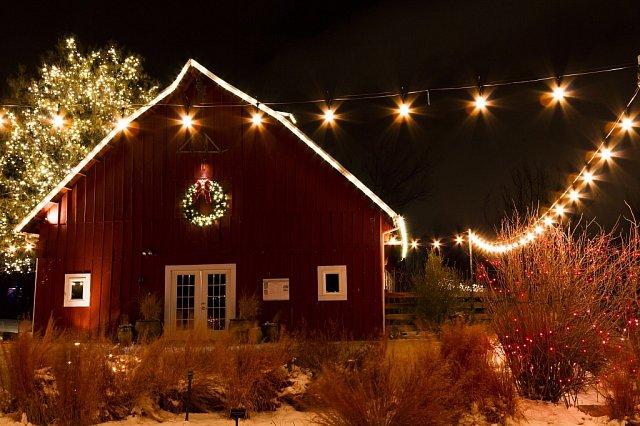 Our top Christmas garden decorations