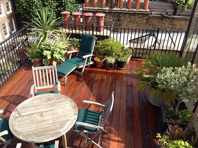 roof terrace plants